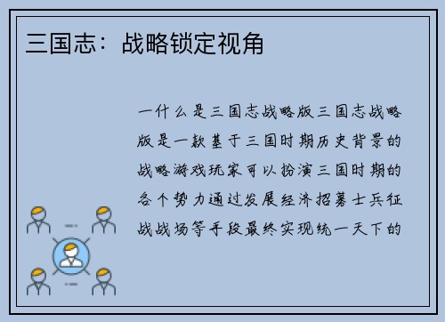 三国志：战略锁定视角