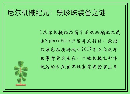 尼尔机械纪元：黑珍珠装备之谜